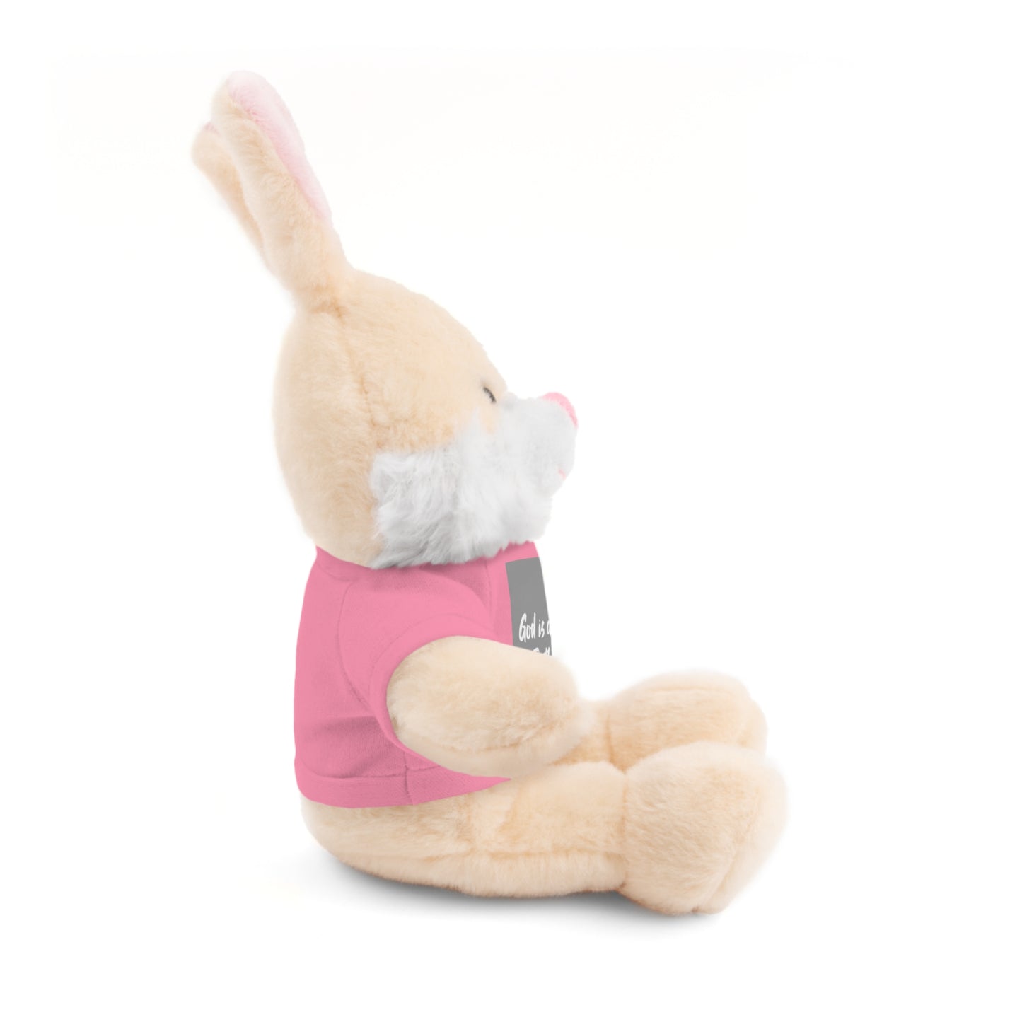 Faithful Bear Stuffed Animal - God is Always Faithful Teeshirt Toy