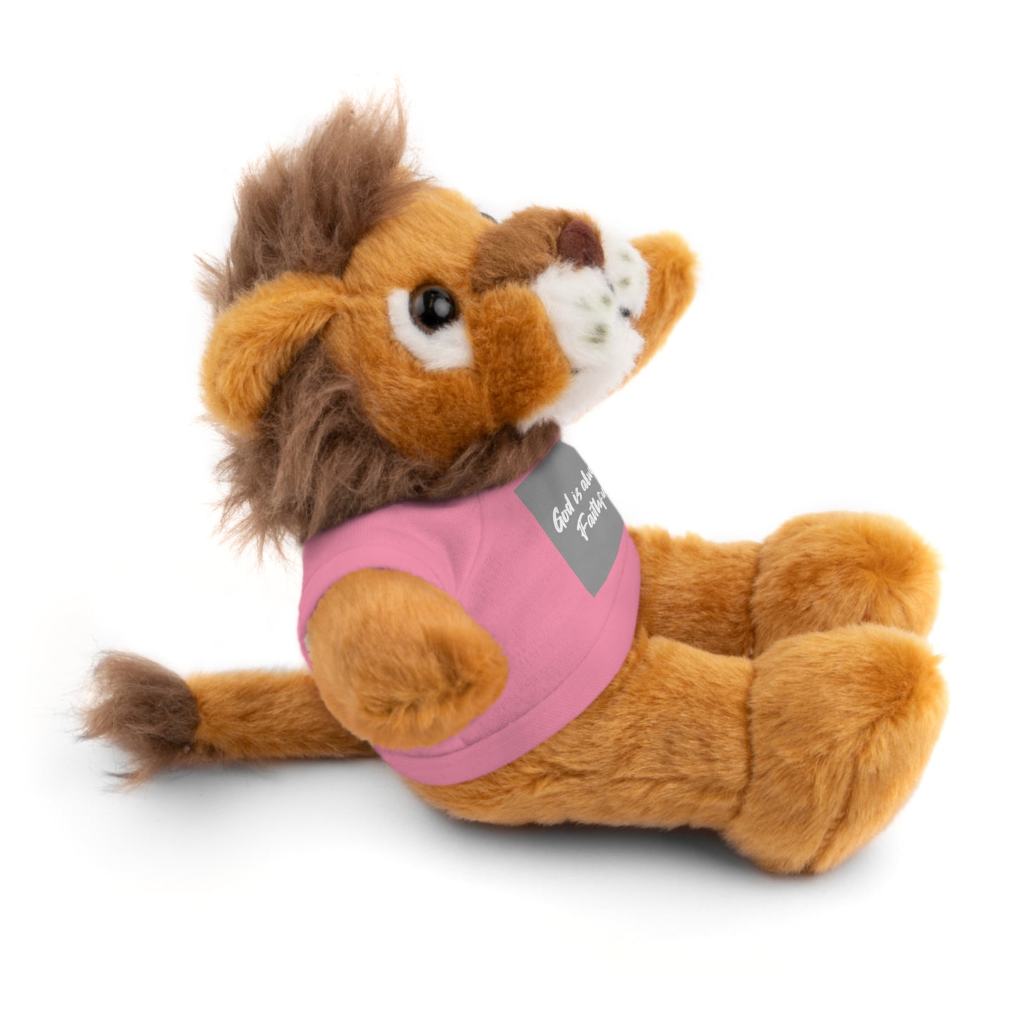 Faithful Bear Stuffed Animal - God is Always Faithful Teeshirt Toy