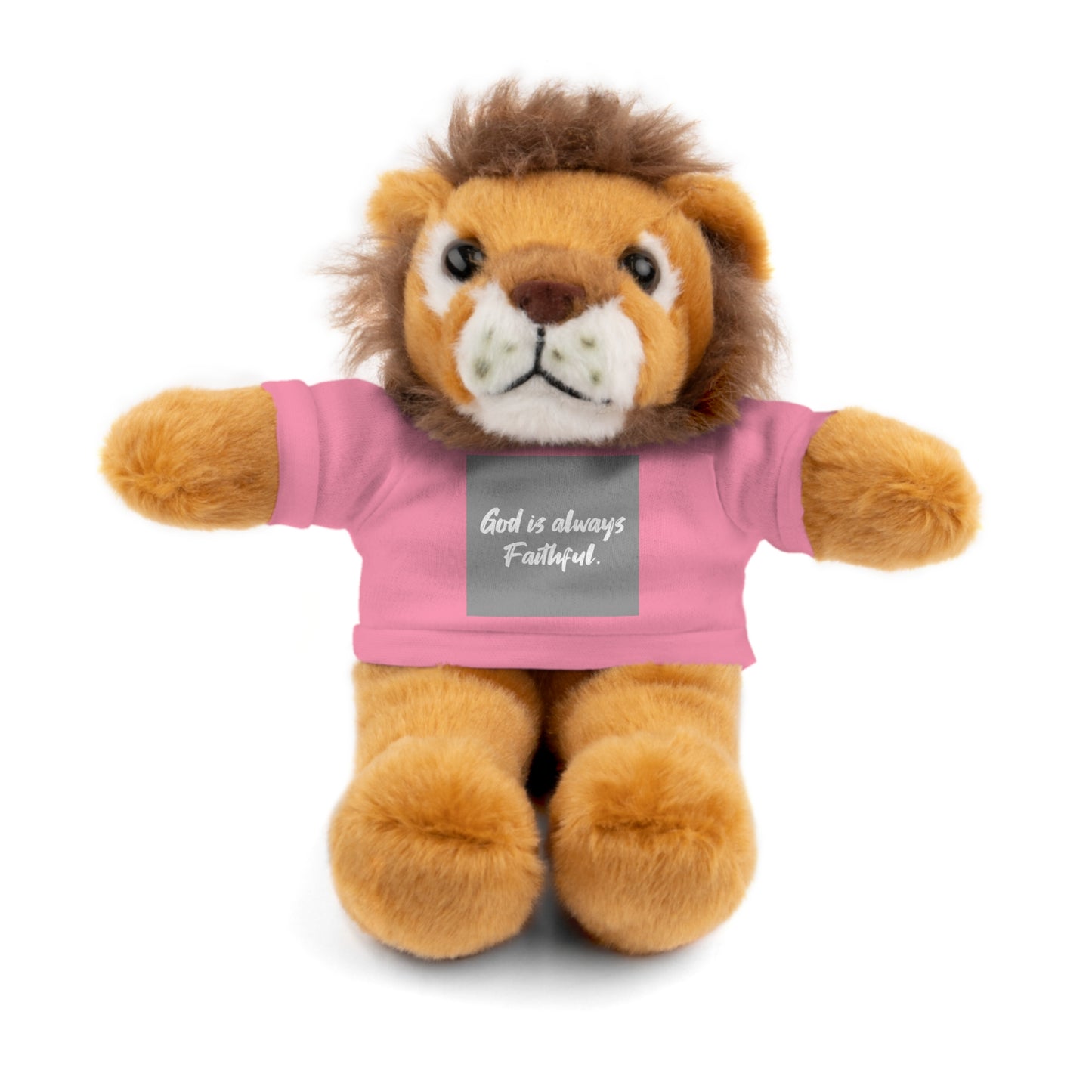 Faithful Bear Stuffed Animal - God is Always Faithful Teeshirt Toy