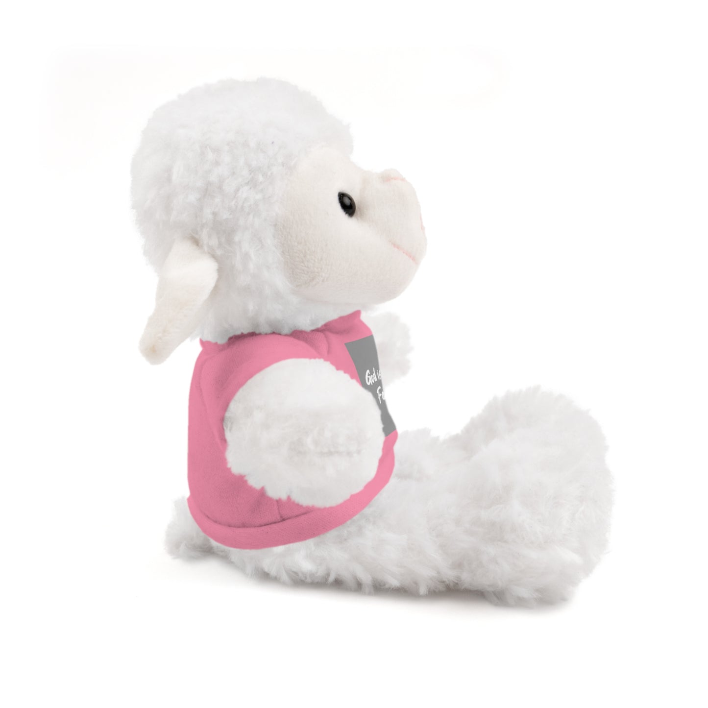 Faithful Bear Stuffed Animal - God is Always Faithful Teeshirt Toy