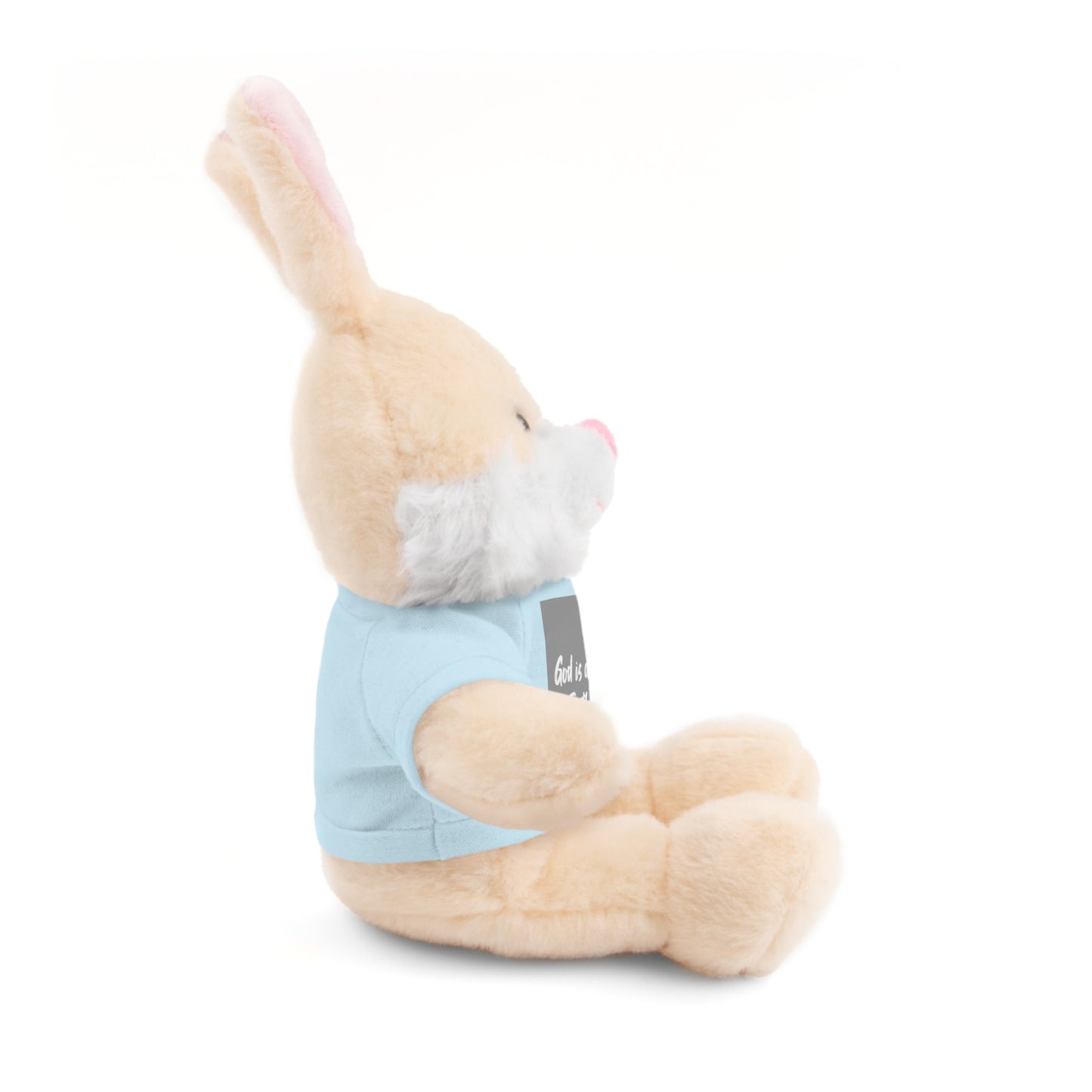Faithful Bear Stuffed Animal - God is Always Faithful Teeshirt Toy